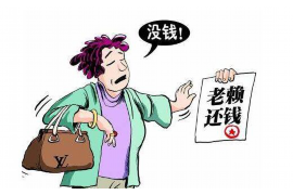 正定债务清欠服务